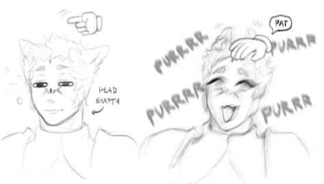 you pet apollo, he purrs