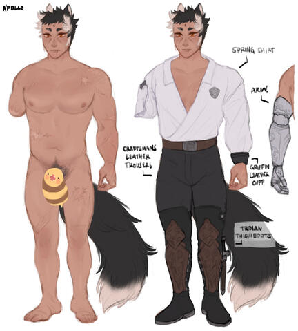 apollo post-endwalker reference