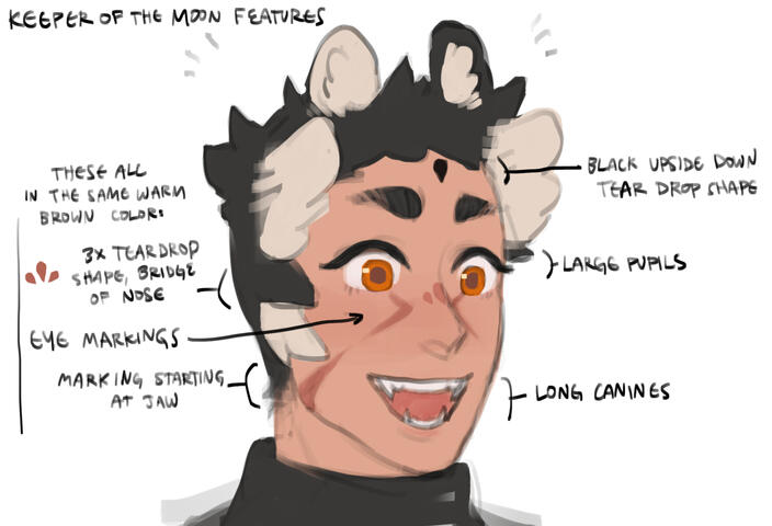 miqo&#39;te feature notes