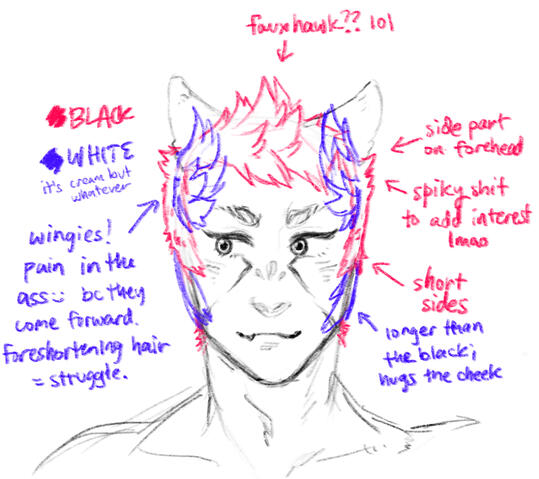 how to draw apollo&#39;s hair (front view)