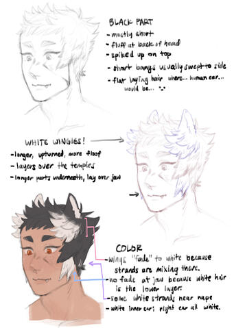 how to draw apollo's hair