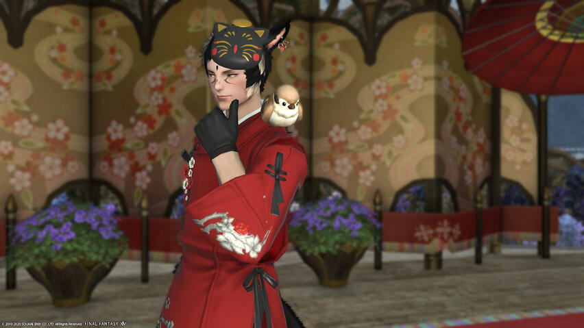 apollo at little ladies' day